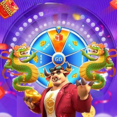 spinwiz