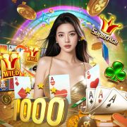 455bet