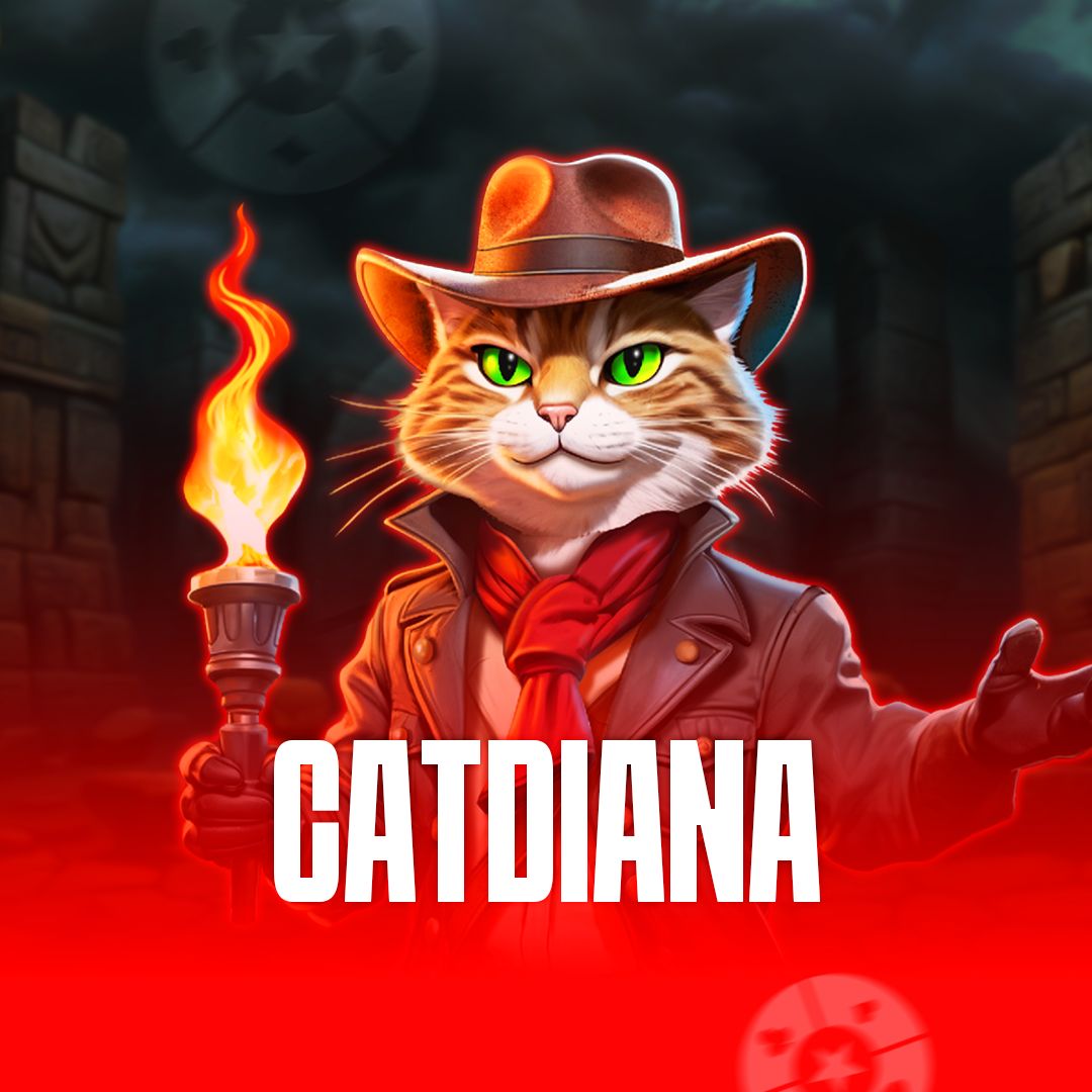 234vip login